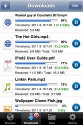 Perfect Downloader v1.8 .ipa