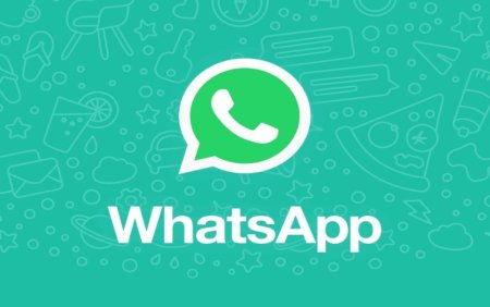 WhatsApp Web — полное руководство по возможностям цифровой связи